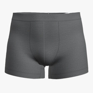 Icebreaker Merino 125 Cool-Lite Anatomica Boxer - Men's Large